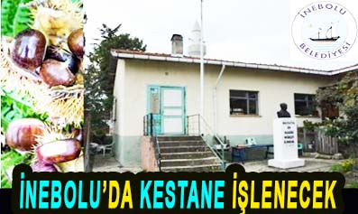 İNEBOLU’DA KESTANE İŞLENECEK