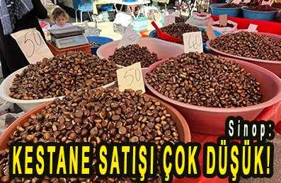 <center> Sinop: </center><center><font color=’blue’> KESTANE SATIŞI ÇOK DÜŞÜK! </font></center>