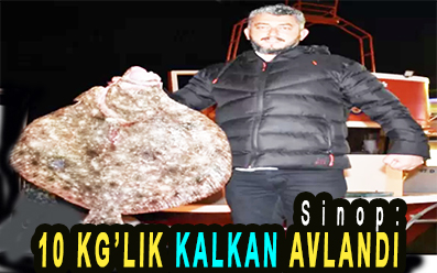 <center> Sinop: </center><center><font color=’blue’>10 KG’LIK KALKAN AVLANDI </font></center>