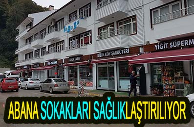 ABANA SOKAKLARI SAĞLIKLAŞTIRILIYOR