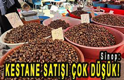 <center> Sinop: </center><center><font color=’blue’> KESTANE SATIŞI ÇOK DÜŞÜK </font></center>