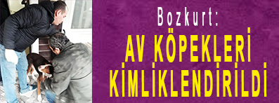 <center> Bozkurt: </center><center><font color=’blue’> AV KÖPEKLERİ KİMLİKLENDİRİLDİ </font></center>
