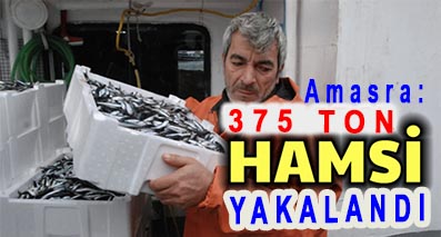 <center> Amasra: </center><center><font color=’blue’>375 TON HAMSİ YAKALANDI </font></center>