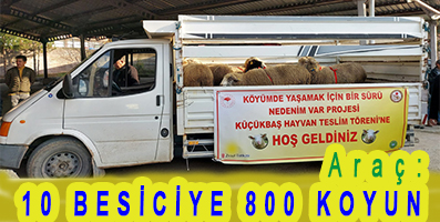 <center> Araç: </center><center><font color=’blue’>10 BESİCİYE 800 KOYUN </font></center>