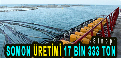 <center> Sinop: </center><center><font color=’blue’> SOMON ÜRETİMİ 17 BİN 333 TON </font></center>
