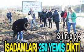 <center> Sinop: </center><center><font color=’blue’> İŞADAMLARI 250 YEMİŞ DİKTİ </font></center>