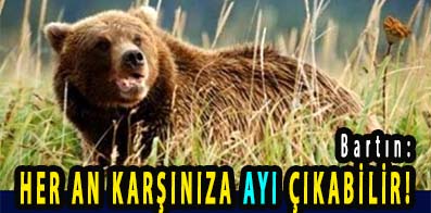 <center> Bartın: </center><center><font color=’blue’> HER AN KARŞINIZA AYI ÇIKABİLİR! </font></center>