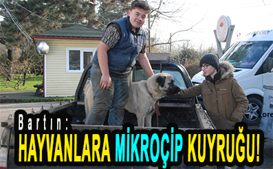 <center> Bartın: </center><center><font color=’blue’> HAYVANLARA MİKROÇİP KUYRUĞU! </font></center>