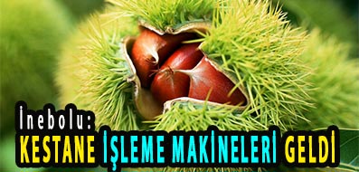 <center> İnebolu: </center><center><font color=’blue’> KESTANE İŞLEME MAKİNELERİ GELDİ </font></center>