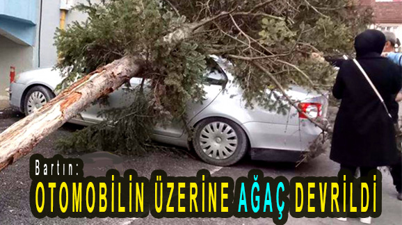 <center> Bartın: </center><center><font color=’blue’> OTOMOBİLİN ÜZERİNE AĞAÇ DEVRİLDİ </font></center>
