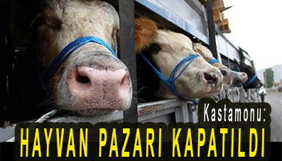 <center> Kastamonu: </center><center><font color=’blue’> HAYVAN PAZARI KAPATILDI </font></center>