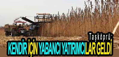 <center> Taşköprü: </center><center><font color=’blue’> KENDİR İÇİN YABANCI YATIRIMCILAR GELDİ </font></center>