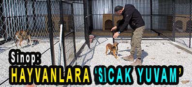 <center> Sinop: </center><center><font color=’blue’> HAYVANLARA ‘SICAK YUVAM’  </font></center>