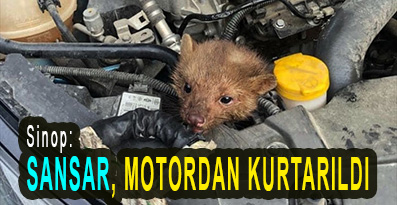 <center> Sinop: </center><center><font color=’blue’> SANSAR, MOTORDAN KURTARILDI </font></center>
