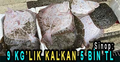 <center> Sinop: </center><center><font color=’blue’>9 KG’LIK KALKAN 5 BİN TL </font></center>
