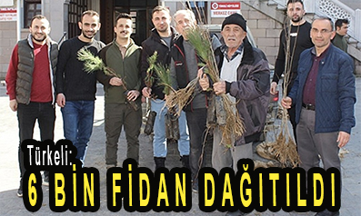 <center> Türkeli: </center><center><font color=’blue’>6 BİN FİDAN DAĞITILDI </font></center>