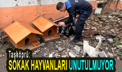 <center> Taşköprü: </center><center><font color=’blue’> SOKAK HAYVANLARI UNUTULMUYOR </font></center>
