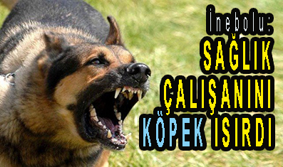 <center> İnebolu: </center><center><font color=’blue’> SAĞLIK ÇALIŞANINI KÖPEK ISIRDI </font></center>