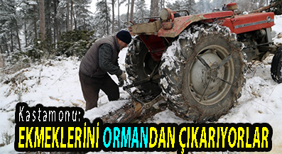 <center> Kastamonu: </center><center><font color=’blue’> EKMEKLERİNİ ORMANDAN ÇIKARIYORLAR </font></center>
