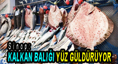 <center> Sinop: </center><center><font color=’blue’> KALKAN BALIĞI YÜZ GÜLDÜRÜYOR </font></center>