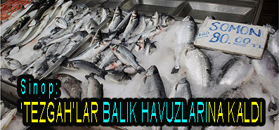 <center> Sinop: </center><center><font color=’blue’>‘TEZGAH’LAR BALIK HAVUZLARINA KALDI </font></center>
