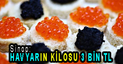 <center> Sinop: </center><center><font color=’blue’> HAVYARIN KİLOSU 3 BİN TL </font></center>