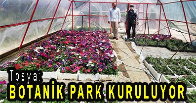 <center> Tosya: </center><center><font color=’blue’> BOTANİK PARK KURULUYOR </font></center>