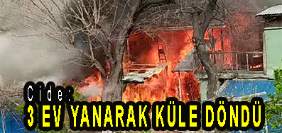 <center> Cide: </center><center><font color=’blue’>3 EV YANARAK KÜLE DÖNDÜ </font></center>