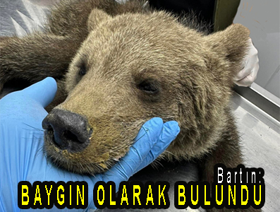 <center> Bartın: </center><center><font color=’blue’> BAYGIN OLARAK BULUNDU </font></center>