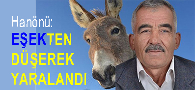<center> Hanönü: </center><center><font color=’blue’> EŞEKTEN DÜŞEREK YARALANDI </font></center