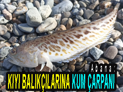 <center> Abana: </center><center><font color=’blue’> KIYI BALIKÇILARINA KUM ÇARPANI </font></center>