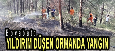 <center> Boyabat: </center><center><font color=’blue’> YILDIRIM DÜŞEN ORMANDA YANGIN  </font></center>