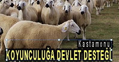 <center> Kastamonu: </center><center><font color=’blue’> KOYUNCULUĞA DEVLET DESTEĞİ </font></center>