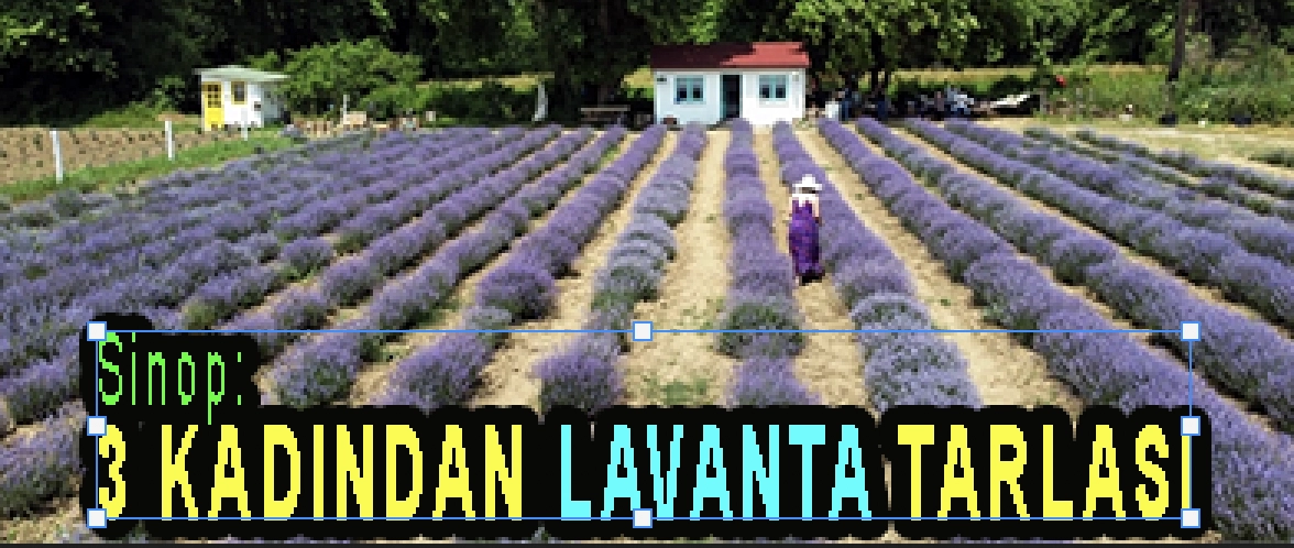 <center> Sinop: </center><center><font color=’blue’>3 KADINDAN LAVANTA TARLASI  </font></center>