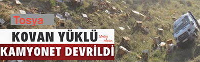 <center> Tosya: </center><center><font color=’blue’> ARI KOVANI YÜKLÜ KAMYONET DEVRİLDİ </font></center>