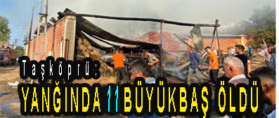 <center> Taşköprü: </center><center><font color=’blue’> YANGINDA 11 BÜYÜKBAŞ ÖLDÜ </font></center>