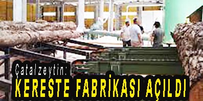 <center> Çatalzeytin: </center><center><font color=’blue’> KERESTE FABRİKASI AÇILDI </font></center>