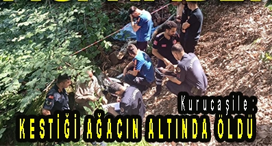 <center> Kurucaşile: </center><center><font color=’blue’> KESTİĞİ AĞACIN ALTINDA ÖLDÜ </font></center>