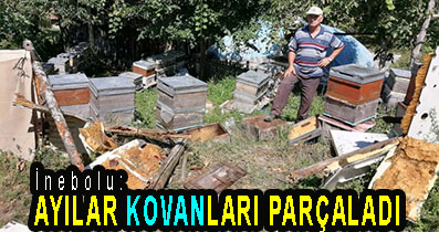 <center> İnebolu: </center><center><font color=’blue’> AYILAR KOVANLARI PARÇALADI </font></center>