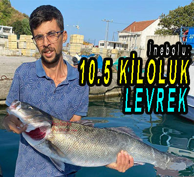 <center> İnebolu: </center><center><font color=’blue’>10.5 KİLOLUK LEVREK </font></center>