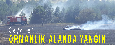 <center> Seydiler: </center><center><font color=’blue’> ORMANLIK ALANDA YANGIN </font></center>