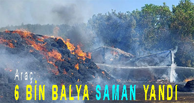 <center> Araç: </center><center><font color=’blue’>6 BİN BALYA SAMAN YANDI </font></center>