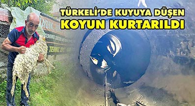 <center> Türkeli: </center><center><font color=’blue’> KUYUYA DÜŞEN KOYUN KURTARILDI </font></center>