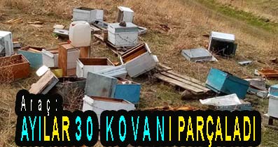 <center> Araç: </center><center><font color=’blue’> AYILAR 30 ARI KOVANI PARÇALADI </font></center>