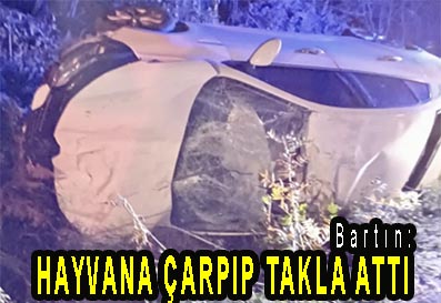 <center> Bartın: </center><center><font color=’blue’> HAYVANA ÇARPIP TAKLA ATTI </font></center>