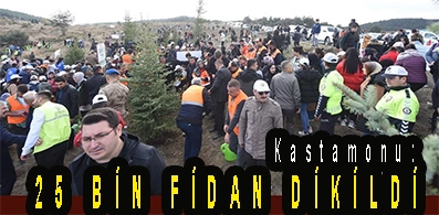 <center> Kastamonu: </center><center><font color=’blue’>25 BİN FİDAN DİKİLDİ </font></center>