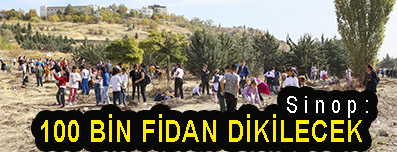 <center> Sinop: </center><center><font color=’blue’>100 BİN FİDAN DİKİLECEK </font></center>