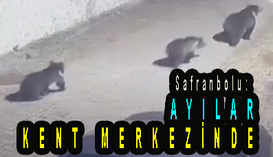 <center> Safranbolu: </center><center><font color=’blue’> AYILAR KENT MERKEZİNDE </font></center>