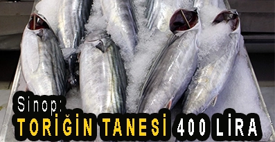 <center> Sinop: </center><center><font color=’blue’> TORİĞİN TANESİ 400 LİRA </font></center>