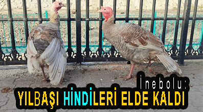 <center> İnebolu: </center><center><font color=’blue’> YILBAŞI HİNDİLERİ ELDE KALDI </font></center>